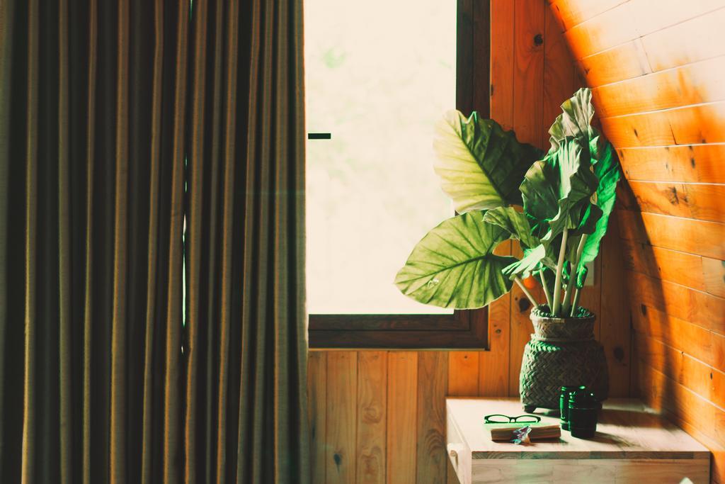 Chay Lap Farmstay Bo Trach Esterno foto